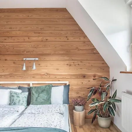 Do Daniela זקופאנה