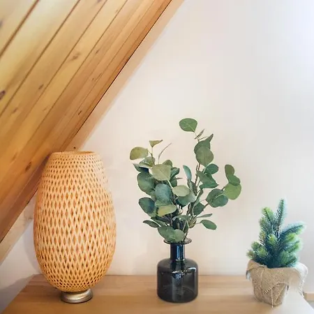 Do Daniela דירה זקופאנה